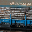 PKP Cargo zaoszczędzi 120 mln zł