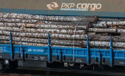 PKP Cargo zaoszczędzi 120 mln zł