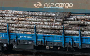 PKP Cargo zaoszczędzi 120 mln zł