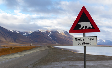 Światowe Archiwum Arktyczne to wyjątkowe miejsce na norweskim archipelagu Svalbard gdzie zarchiwizow