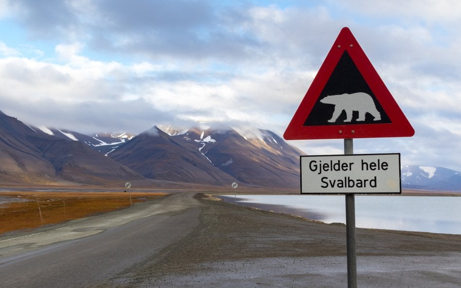 Światowe Archiwum Arktyczne to wyjątkowe miejsce na norweskim archipelagu Svalbard gdzie zarchiwizow