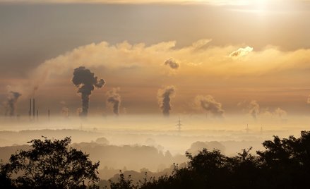 Czyste i zdrowe środowisko prawem człowieka. Rezolucja ONZ przyjęta