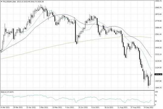 Notowania palladu – dane dzienne