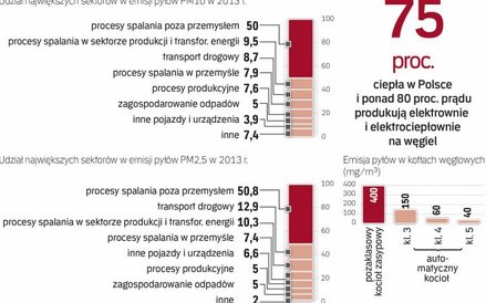 Smog w największym stopniu generują piece używane przez gospodarstwa domowe. To, czym palimy, ma zna