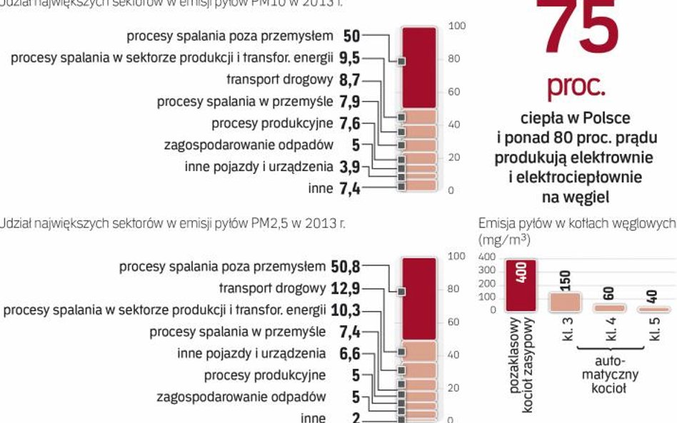 Smog w największym stopniu generują piece używane przez gospodarstwa domowe. To, czym palimy, ma zna