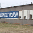 Ptaki w Modlinie powinny być bezpieczne