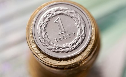 Złoty ma przed sobą kilka udanych tygodni