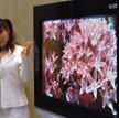 OLED– nowa generacja płaskich ekranów