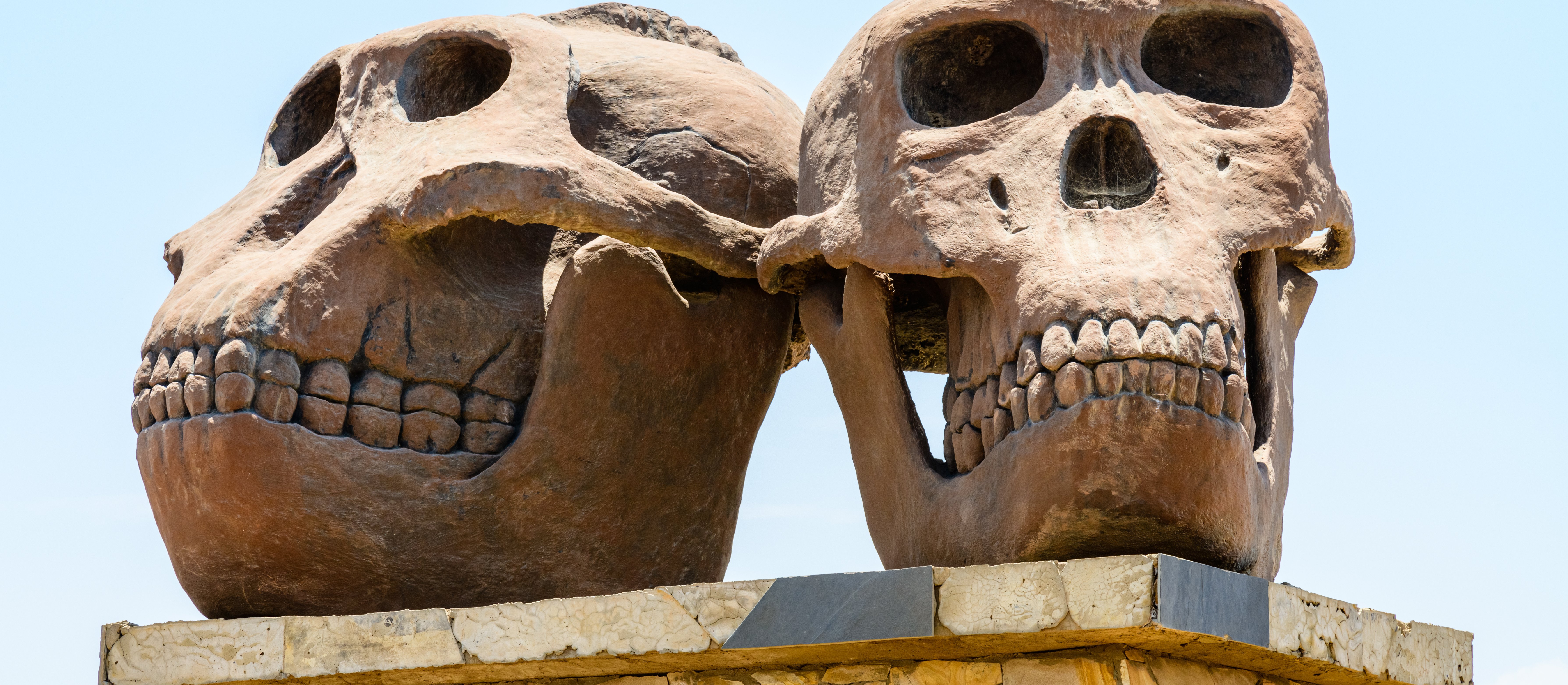 Wczesna historia ludzkości przebiegała inaczej, niż sądzono? Przełomowa analiza. Pomogła AI