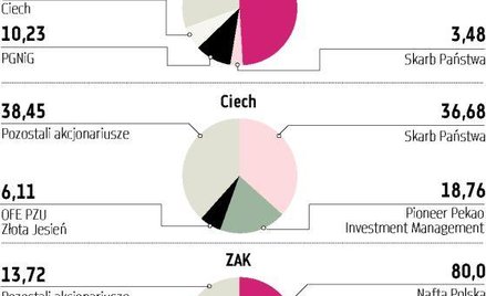Azoty Tarnów i Ciech mogą być sprzedane poniżej wyceny giełdy