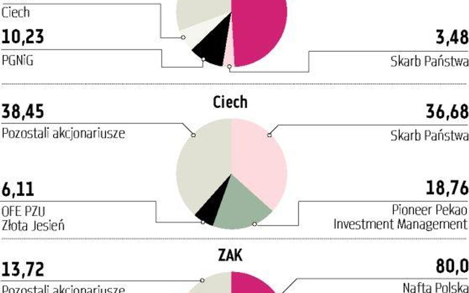 Azoty Tarnów i Ciech mogą być sprzedane poniżej wyceny giełdy