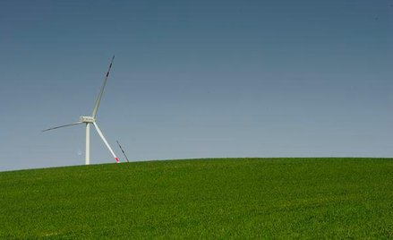 Petrolinvest Krauzego inwestuje w wiatraki