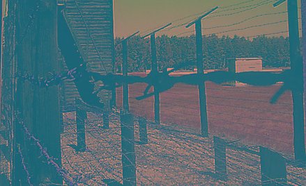 Ks. Henryk Malak, „Klechy w obozach śmierci”, Wydawnictwo Diecezji Warszawsko-Praskiej, Warszawa 201