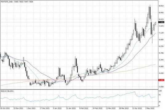 Notowania gazu ziemnego w USA – dane dzienne
