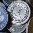 Waluty: Złoty więcej nie straci, ale odbicie jest odległe