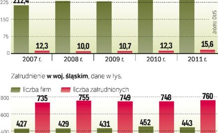 Panorama firm śląska