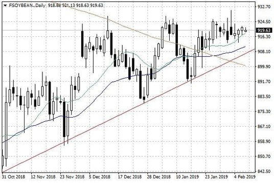 Notowania soi w USA – dane dzienne