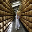 Wypadek w Lombardii. Grana Padano zabił właściciela serowego biznesu