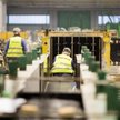Pekabex: Niemiecka firma na celowniku