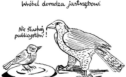 Komentarz rysunkowy. Wróbel doradza jastrzębiowi