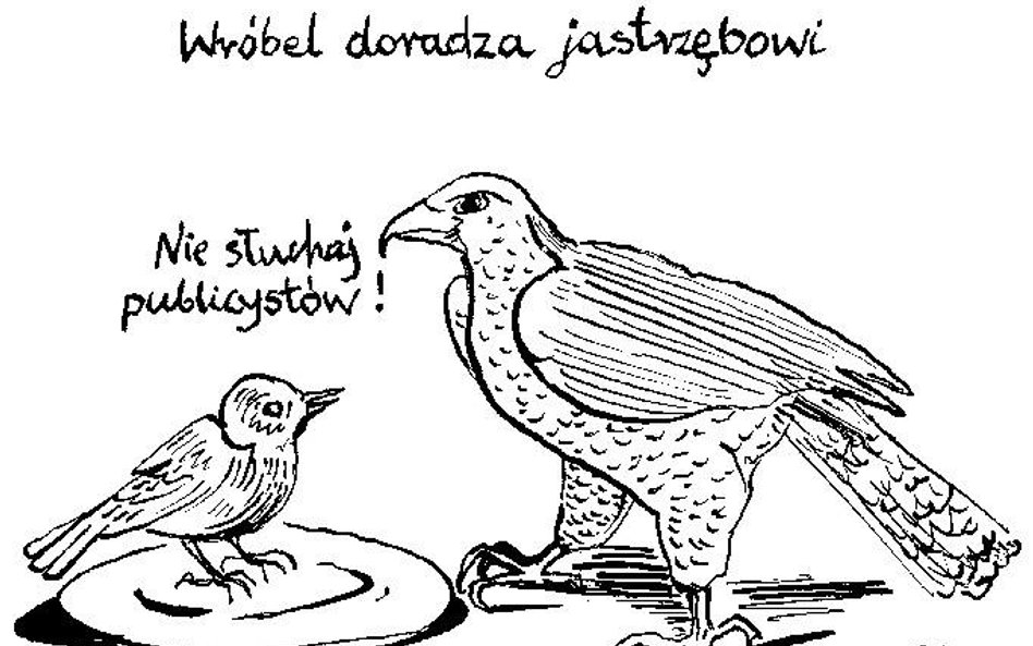 Komentarz rysunkowy. Wróbel doradza jastrzębiowi