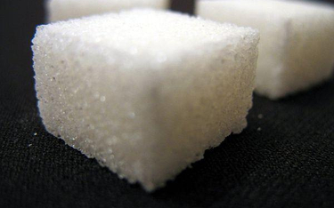 Rosną ceny i produkcja cukru