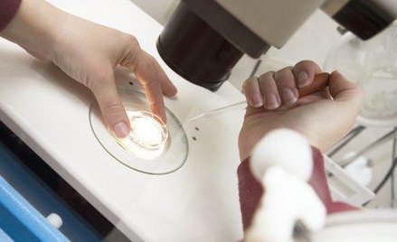 W Częstochowie zacznie się druga edycja programu dopłat do in vitro. Na podobne działania naciska cz