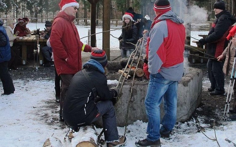 Fot. kozienice.radom.lasy.gov.pl, L.Zaczyńska