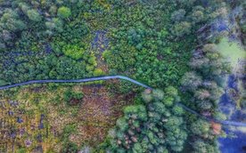 Bagno Całowanie na Mazowszu przyciąga turystów zainteresowanych m.in. obserwacjami ptaków