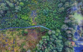 Bagno Całowanie na Mazowszu przyciąga turystów zainteresowanych m.in. obserwacjami ptaków