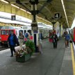 Londyn: Czytał Biblię w pociągu. Pasażerowie uciekli