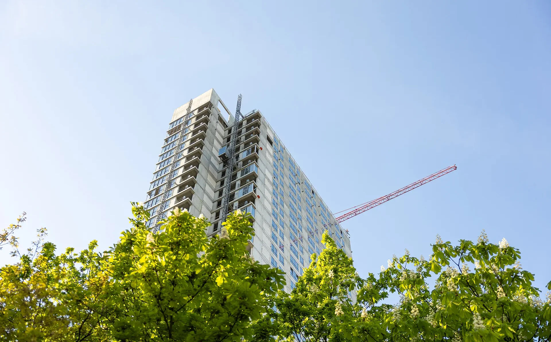Atal czeka na odbicie sprzedaży. Kumulacja przekazań w II połowie tego roku