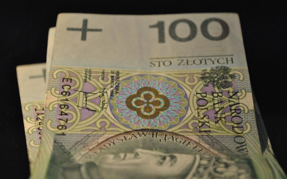 NBP spodziewa się 5 mld euro BIZ w 2012 r.