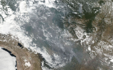 NASA pokazuje jak płonie Amazonia