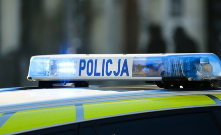 Do wypadku i zabójstwa doszło w miejscowości Lubowidza w gminie Dmosin