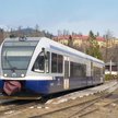 Słowacja. Patrole prawicowców w pociągach