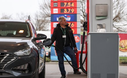 - Rządowe ceny maksymalne pozostają kompletnie bez związku z ograniczeniem lub wzrostem popytu na pa