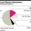 Bogdanka wypowie się dziś w sprawie wezwania NWR