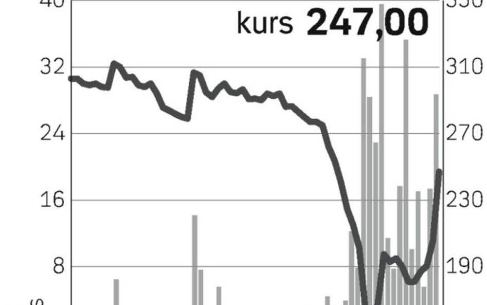 Skok notowań Petrolinvestu