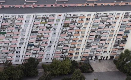 Rośnie podaż mieszkań