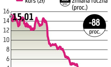 Stratę wielkości 88 proc. odnotowali w tym roku posiadacze akcji spółki z branży budowlanej. Najbard