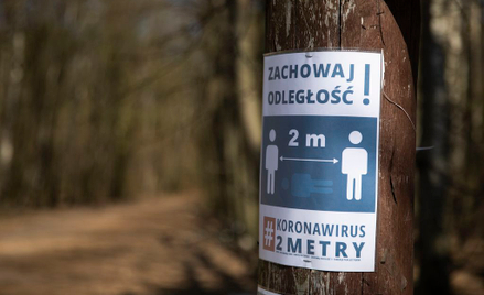 Dąbrowska: Dystans wciąż najważniejszy