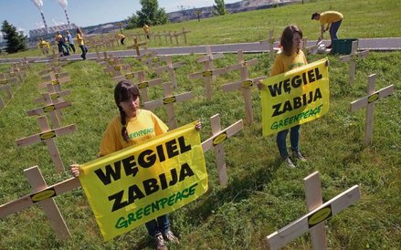 W ramach walki o czyste powietrze aktywiści Greenpeace ustawili w 2013 r. tysiąc krzyży pod elektrow