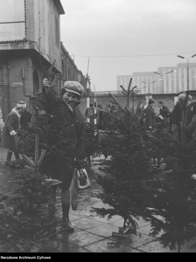 Handel choinkami przy ul. Marchlewskiego przed Halą Mirowską