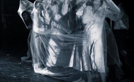 Zagubieni jak fiołki