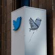 Jak Elon Musk wykończył Twittera w 2023 r.