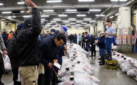 Pierwsza aukcja tuńczyna w 2018 roku na rynku Tsukiji
