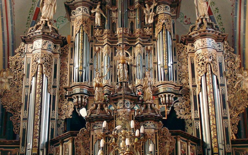 Kamień Pomorski. Organy w katedrze