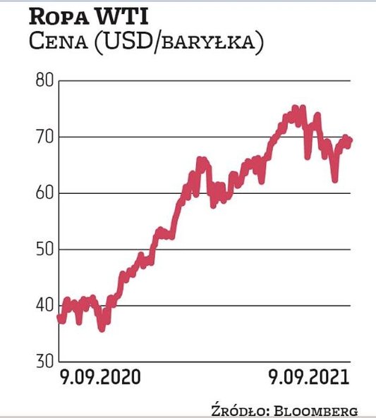 Ropa gatunku WTI zdrożała przez ostatnie 12 miesięcy o 82 proc., a od początku stycznia o 46 proc. W