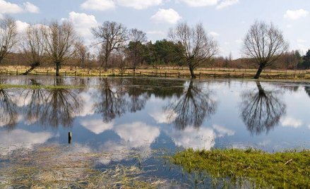 Mazowsze utraci część dotacji UE?